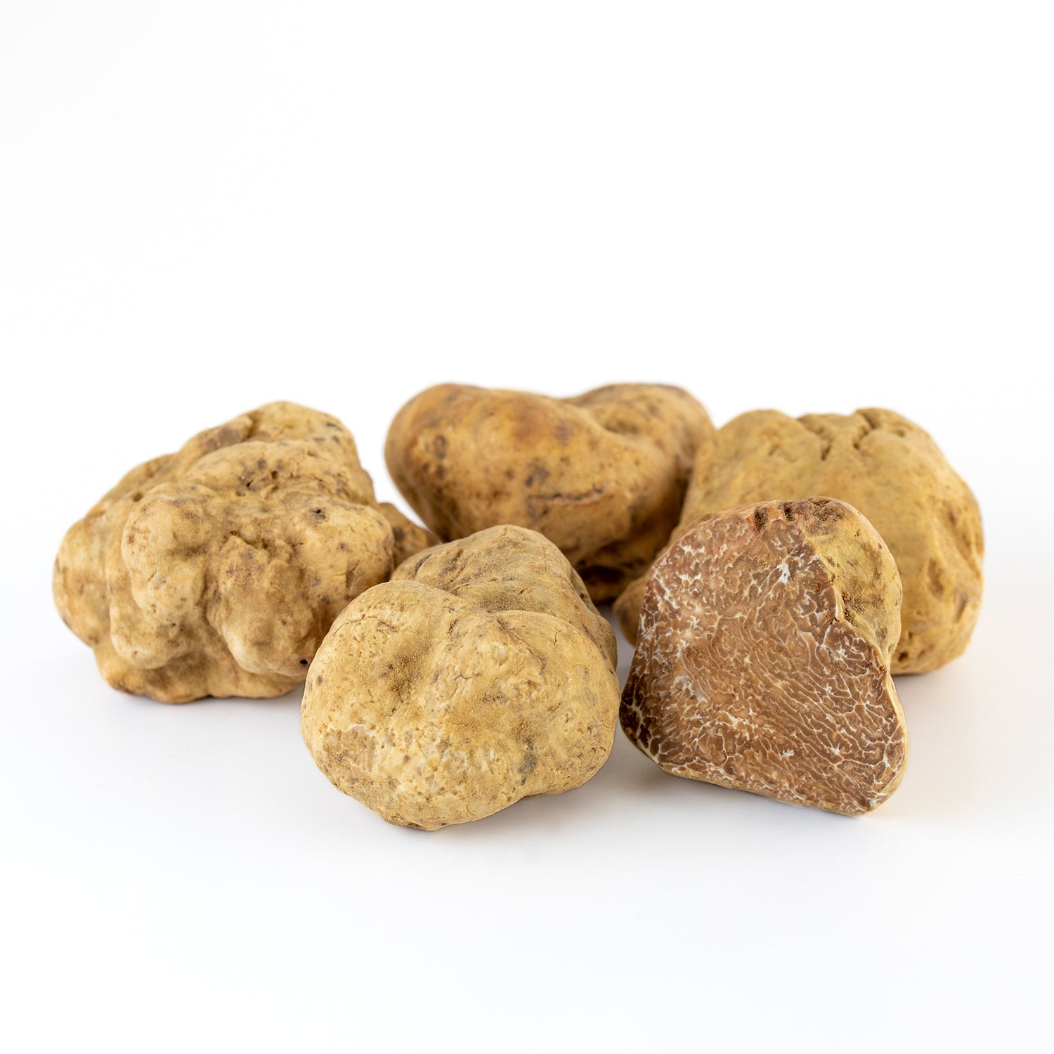 Comprar Trufa Blanca (Tuber Magnatum) - Trufas frescas - LAUMONT PROFESIONAL