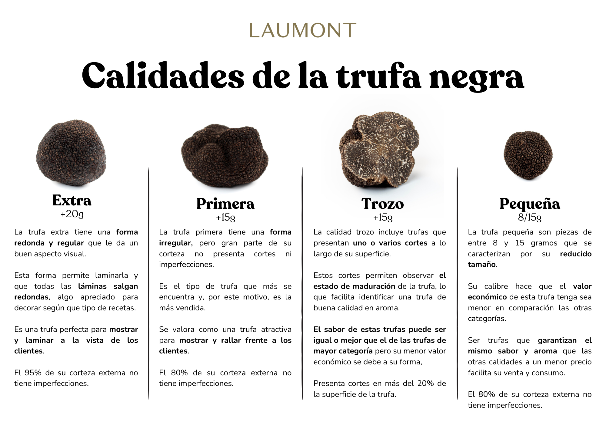 Las 4 diferentes calidades de trufa negra Laumont